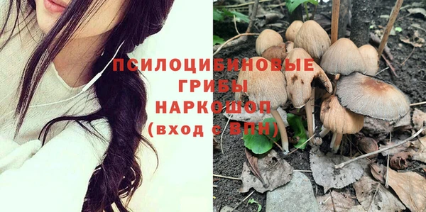 ГАЛЛЮЦИНОГЕННЫЕ ГРИБЫ Алексин