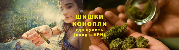 ГАЛЛЮЦИНОГЕННЫЕ ГРИБЫ Алексин
