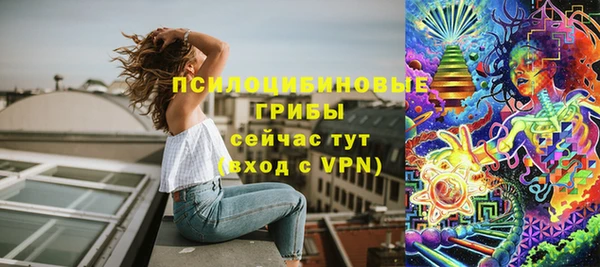ГАЛЛЮЦИНОГЕННЫЕ ГРИБЫ Алексин