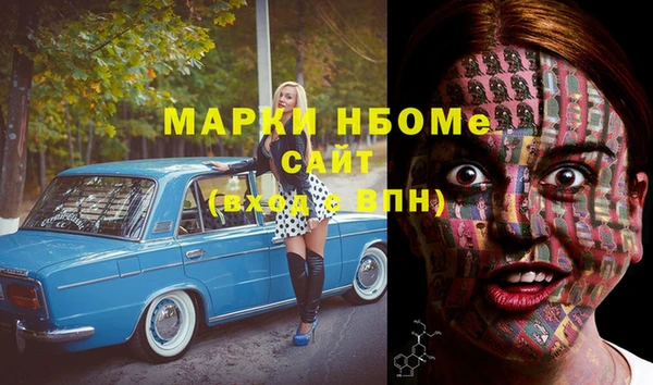 прущие грибы Алексеевка