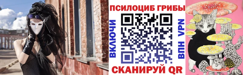 Галлюциногенные грибы GOLDEN TEACHER  цены наркотик  Андреаполь 