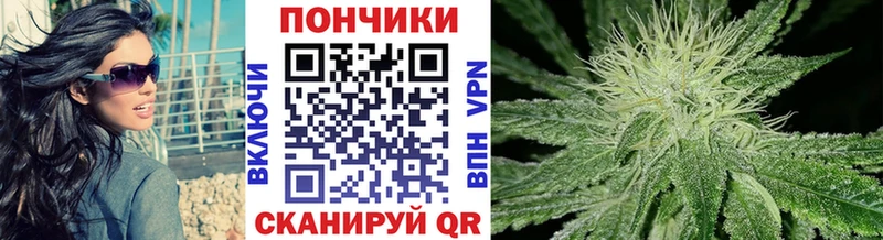 закладки  mega ONION  Конопля AK-47  Андреаполь 